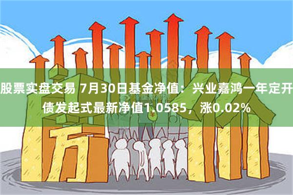 股票实盘交易 7月30日基金净值：兴业嘉鸿一年定开债发起式最新净值1.0585，涨0.02%