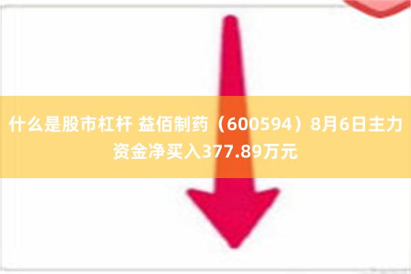 什么是股市杠杆 益佰制药（600594）8月6日主力资金净买入377.89万元