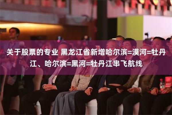 关于股票的专业 黑龙江省新增哈尔滨=漠河=牡丹江、哈尔滨=黑河=牡丹江串飞航线