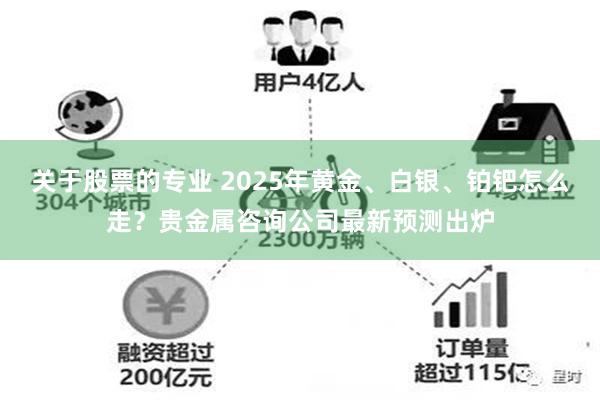 关于股票的专业 2025年黄金、白银、铂钯怎么走？贵金属咨询公司最新预测出炉