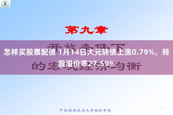 怎样买股票配债 1月14日大元转债上涨0.79%，转股溢价率27.59%